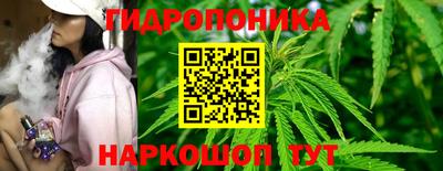 PSILOCYBIN Сланцы