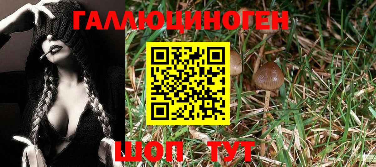 Галлюциногенные грибы мицелий Новочеркасск