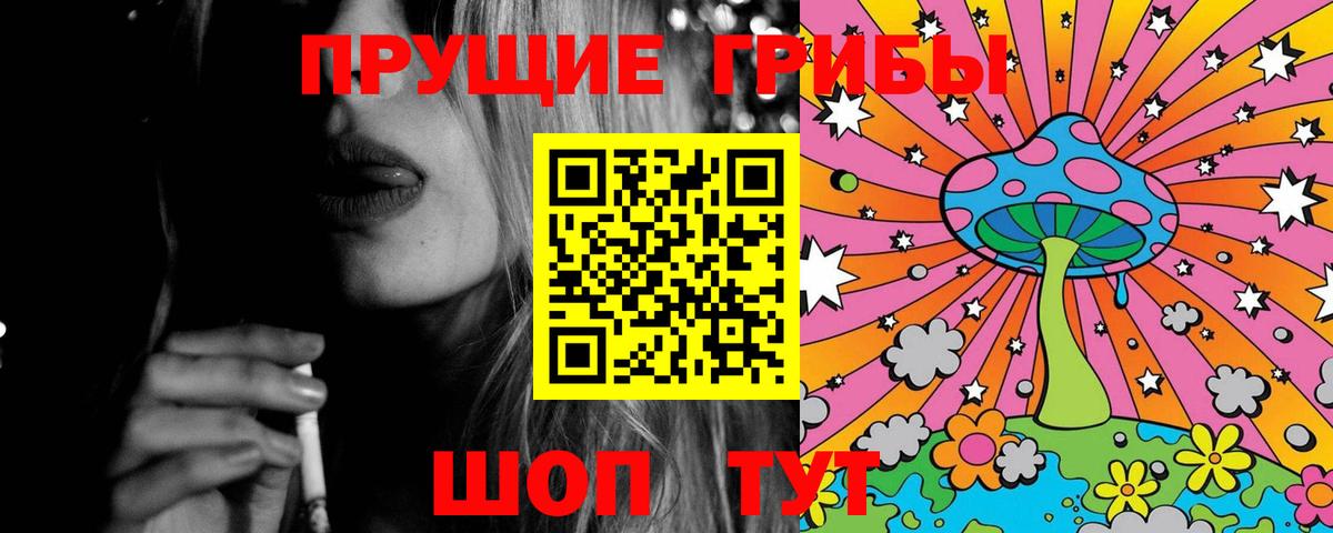 Новочеркасск  Псилоцибиновые грибы прущие грибы  Вход с VPN  Псилоцибиновые грибы Psilocybe 